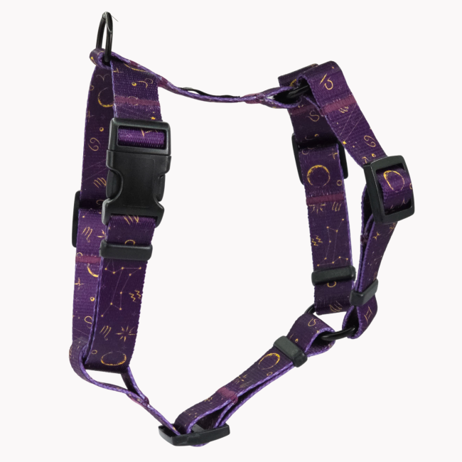 szelki guard Astral Poondel Dog.png