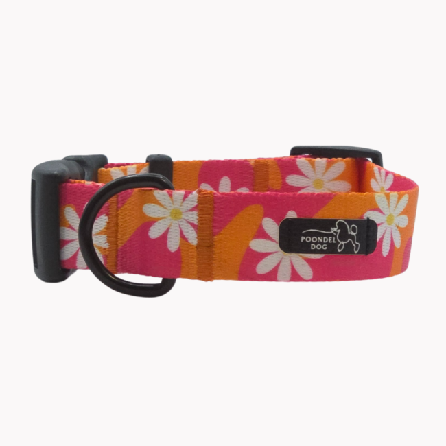 obroża flower pawer poondel dog.png