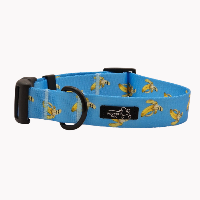 obroża laid back bananas poondel dog.png