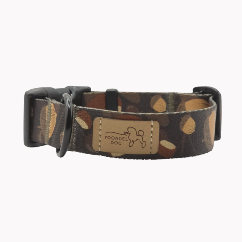 obroża fall vibe dar poondel dog.png