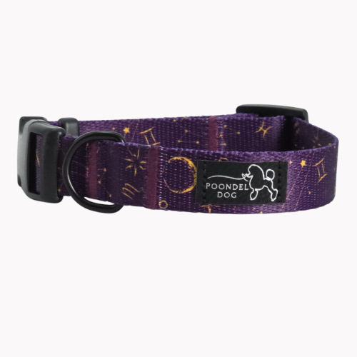 obroża Astral klamry duraflex Poondel Dog czarne okucia.png