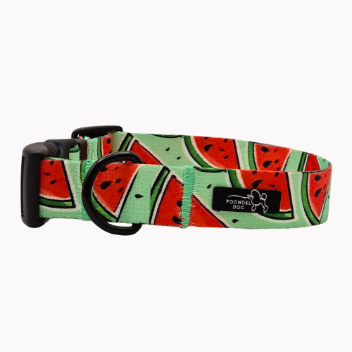 obroża  watermelove poondel dog.png