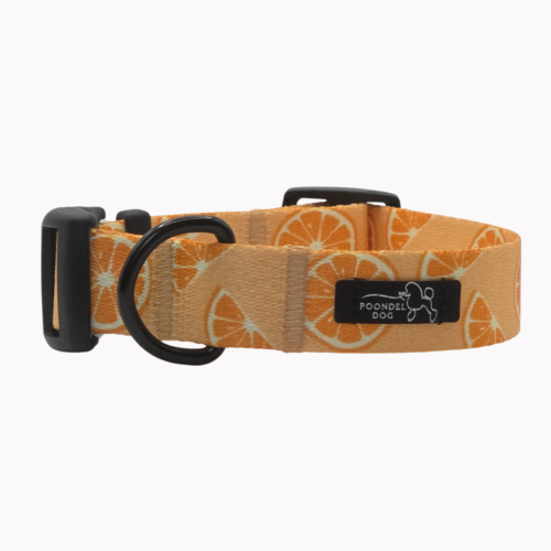 obroża psiomarańcze poondel dog.png
