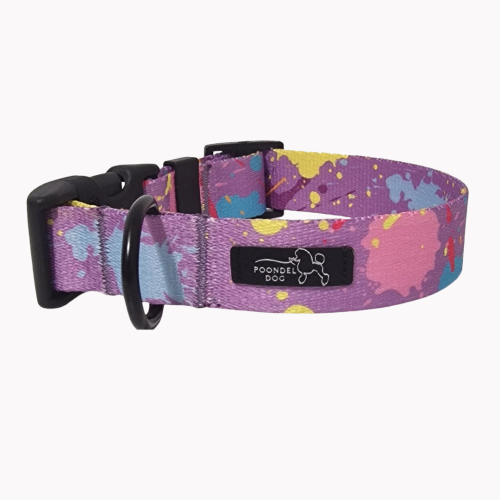 obroża colorful splash poondel dog.png