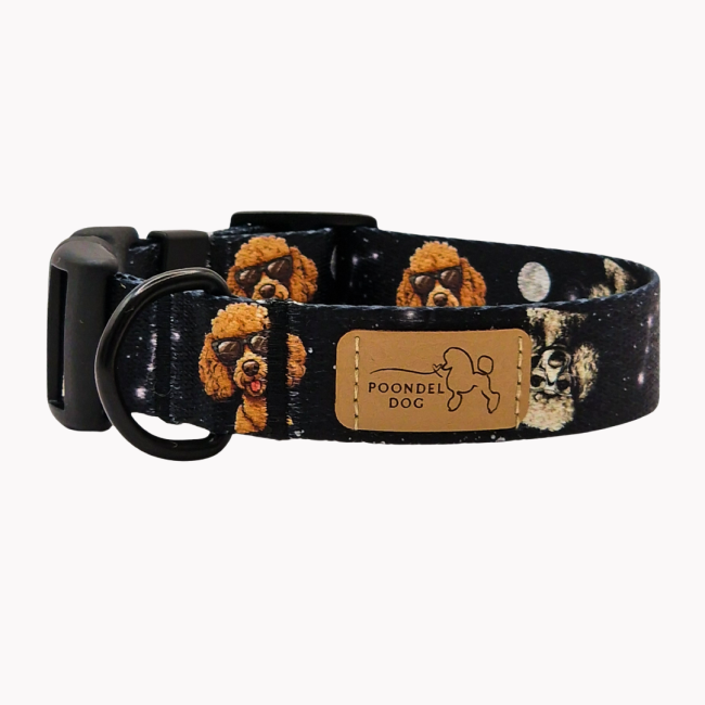 obroża Cosmic Poodle poondel dog.png