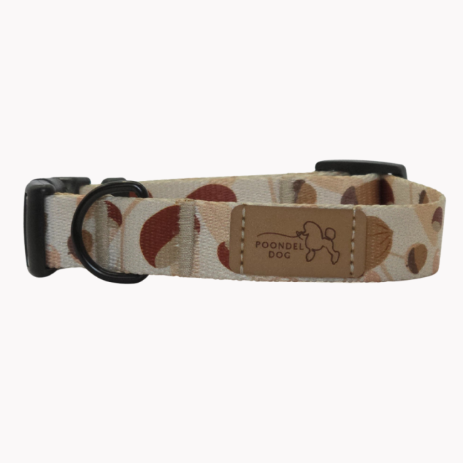 obroża fall vibe poondel dog.png