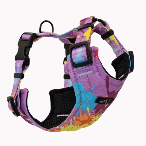 szelkli bezuciskowe colorful splash poondel dog.png