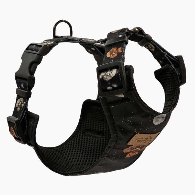 szelkli bezuciskowe cosmic poodle poondel dog.png