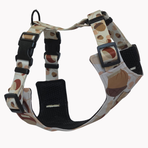 szelkli bezuciskowe fall vibe poondel dog.png