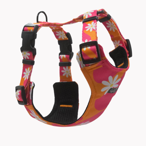 szelkli bezuciskowe flower pawer poondel dog.png