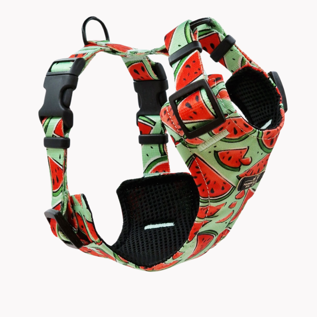 szelkli bezuciskowe watermelove poondel dog.png