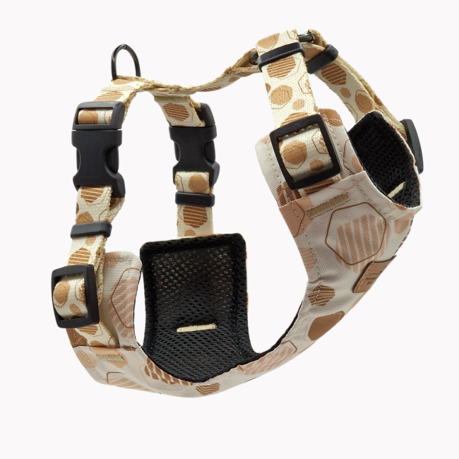 szelkli bezuciskowe geometric poondel dog.png