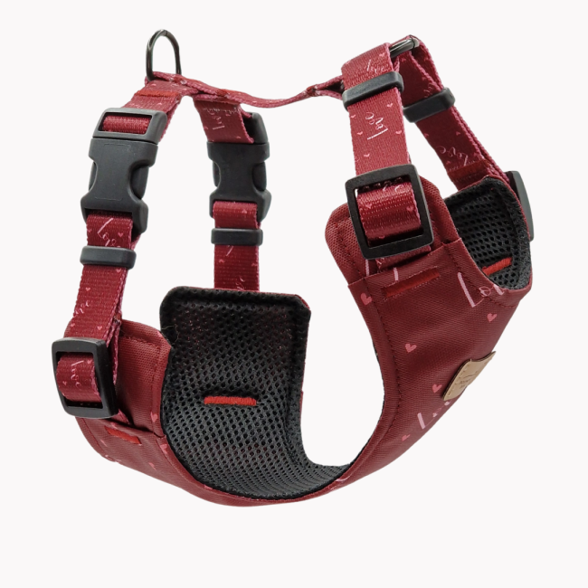 szelkli bezuciskowe love poondel dog.png