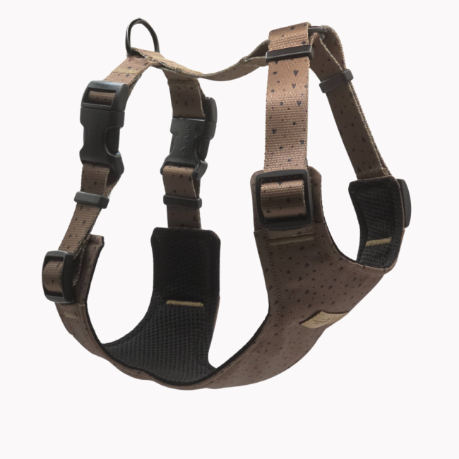 szelkli bezuciskowe sweetheart brownie poondel dog.png