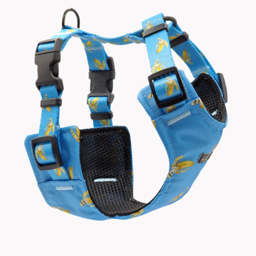 szelkli bezuciskowe laid back bananas poondel dog.png