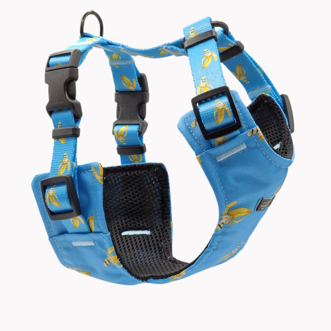 szelkli bezuciskowe laid back bananas poondel dog.png