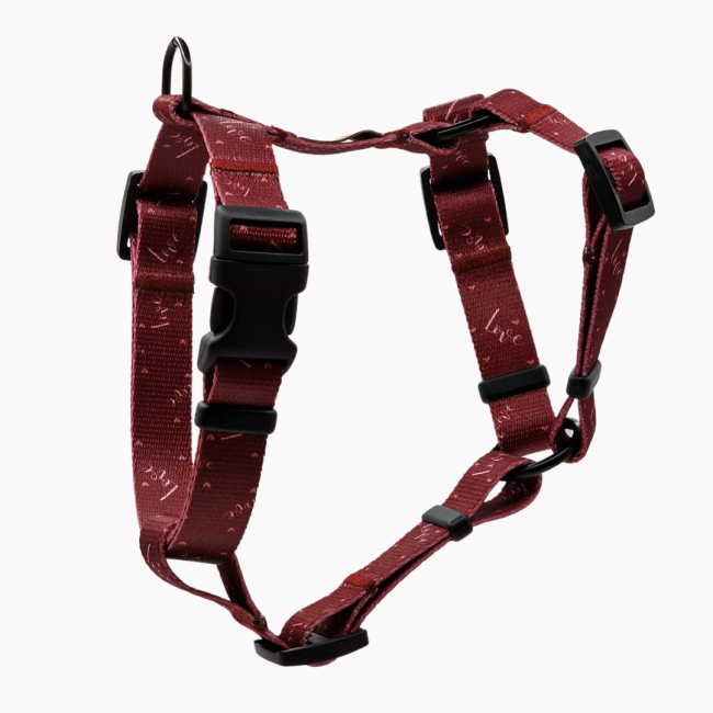 szelki guard love poondel dog.png