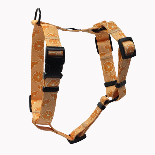 szelki guard psiomarańcze poondel dog.png