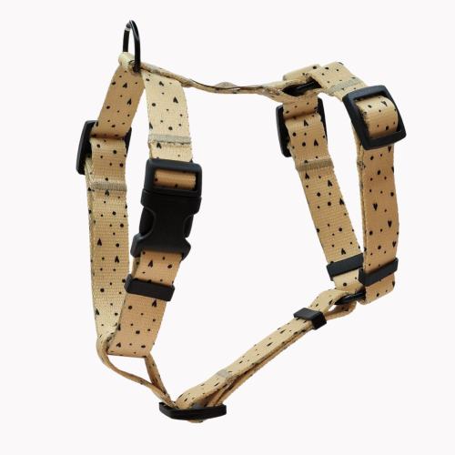 szelki guard sweetheart poondel dog.png