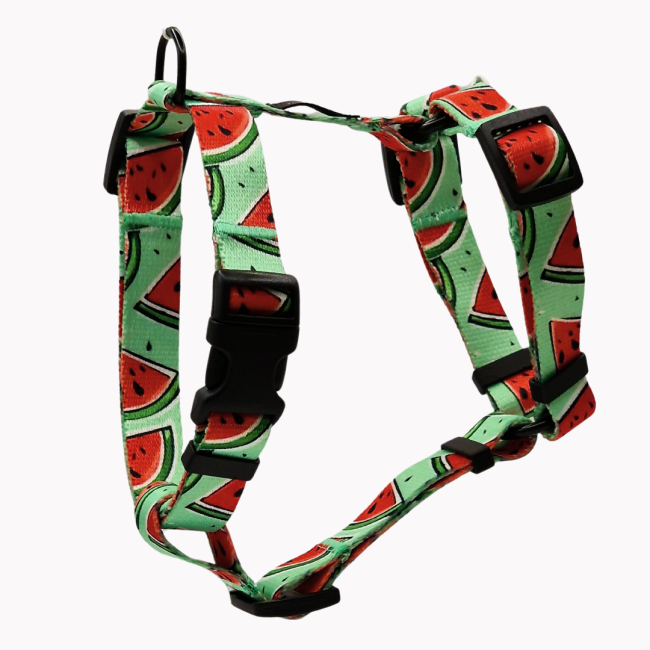 szelki guard watermelove poondel dog.png