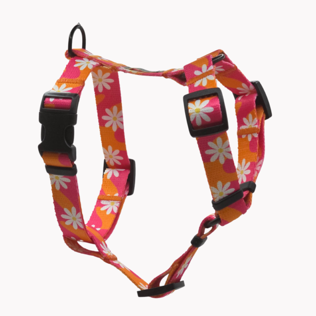 szelki guard  flower pawer poondel dog.png