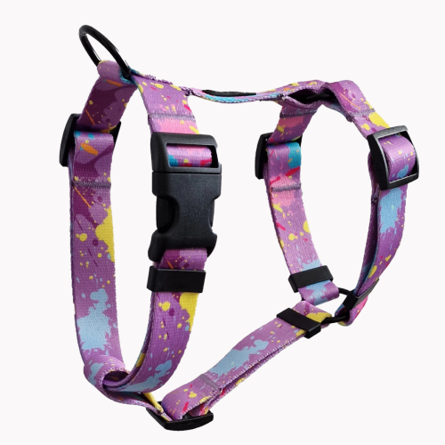 szelki guard colorful splash poondel dog.png