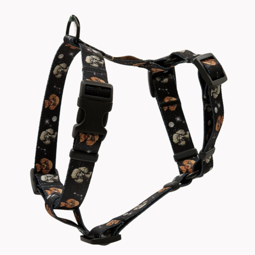 szelki guard cosmic poodle poondel dog.png