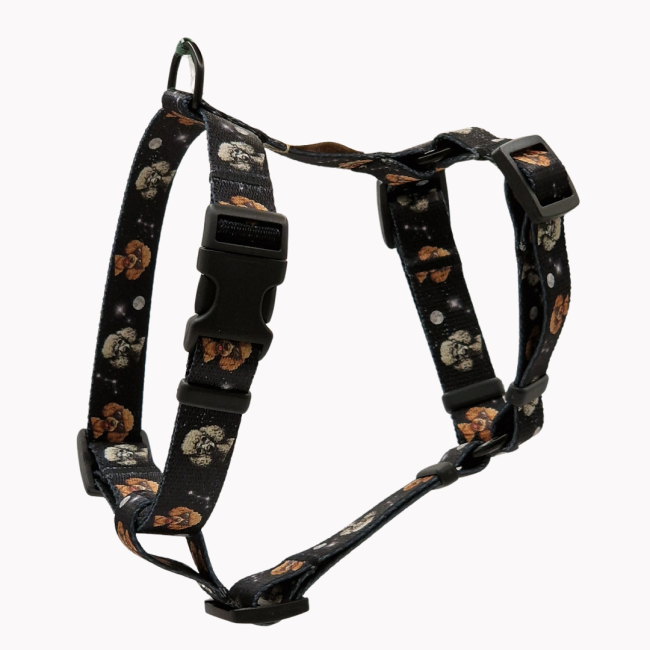 szelki guard cosmic poodle poondel dog.png