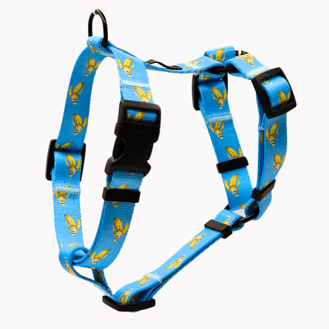 szelki guard laid back bananas poondel dog.png