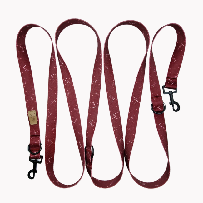 smycz przepinana love poondel dog.png