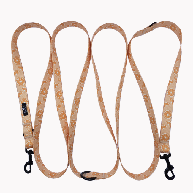 smycz przepinana psiomarańcze poondel dog.png