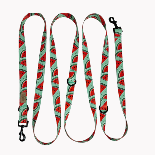 smycz przepinana watermelove poondel dog.png