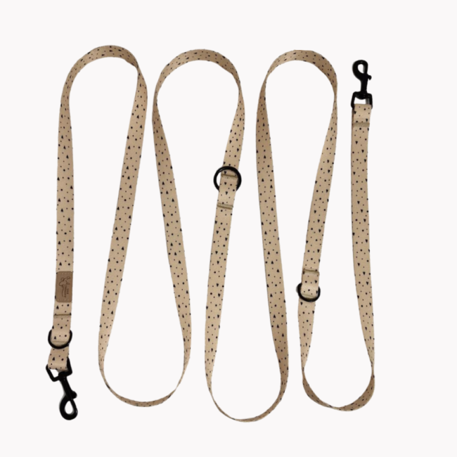 smycz przepinana sweetheart poondel dog.png