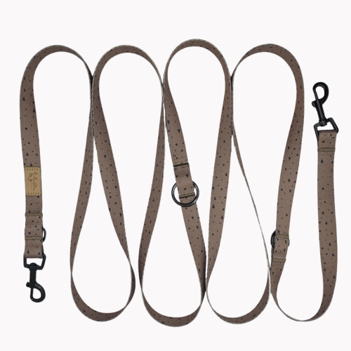 smycz przepinana sweetheart brownie poondel dog.png