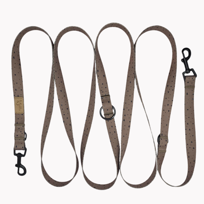 smycz przepinana sweetheart brownie poondel dog.png