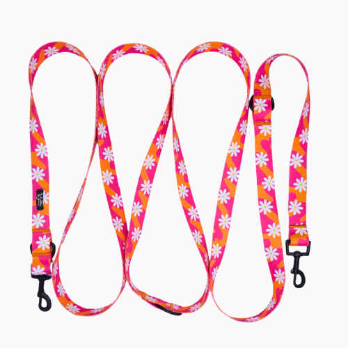 smycz przepinana flower pawer złota poondel dog.png