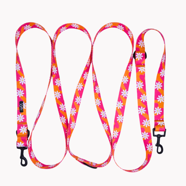 smycz przepinana flower pawer złota poondel dog.png