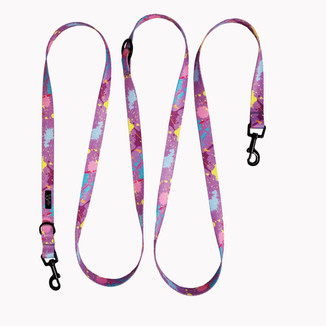 smycz przepinana colorful splash  poondel dog.png