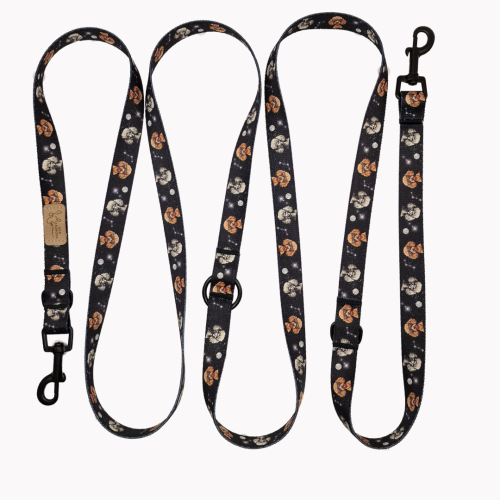 smycz przepinana cosmic poodle poondel dog.png