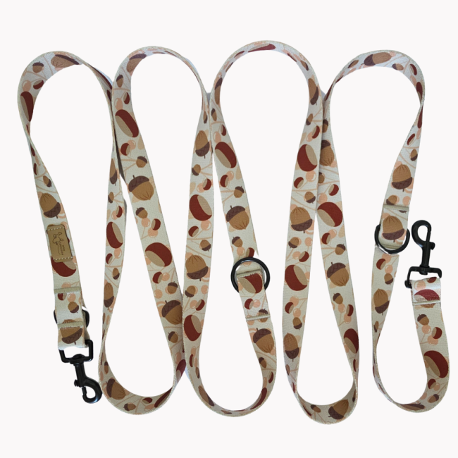 smycz przepinana fall vibe poondel dog.png