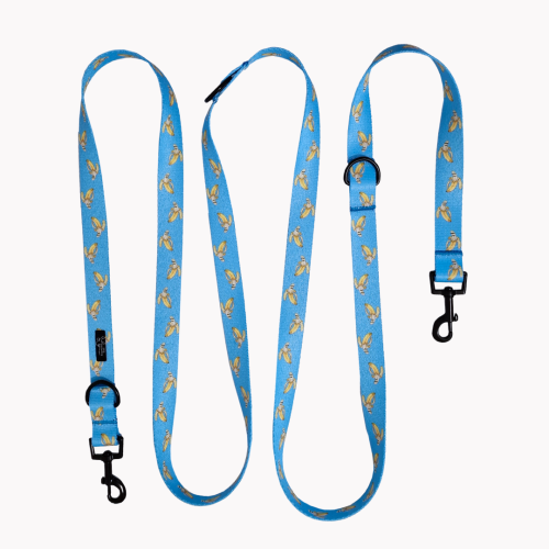 smycz przepinana laid back bananas poondel dog.png