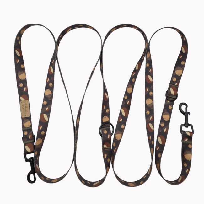 smycz przepinana fall vibe dark poondel dog (2).png