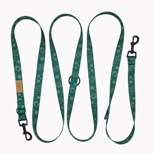 smycz przepinana winter is coming poondel dog.png