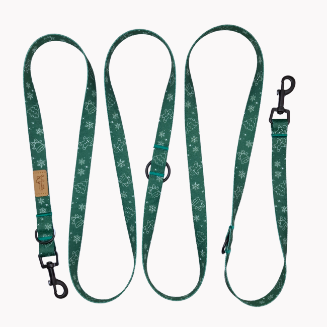 smycz przepinana winter is coming poondel dog.png