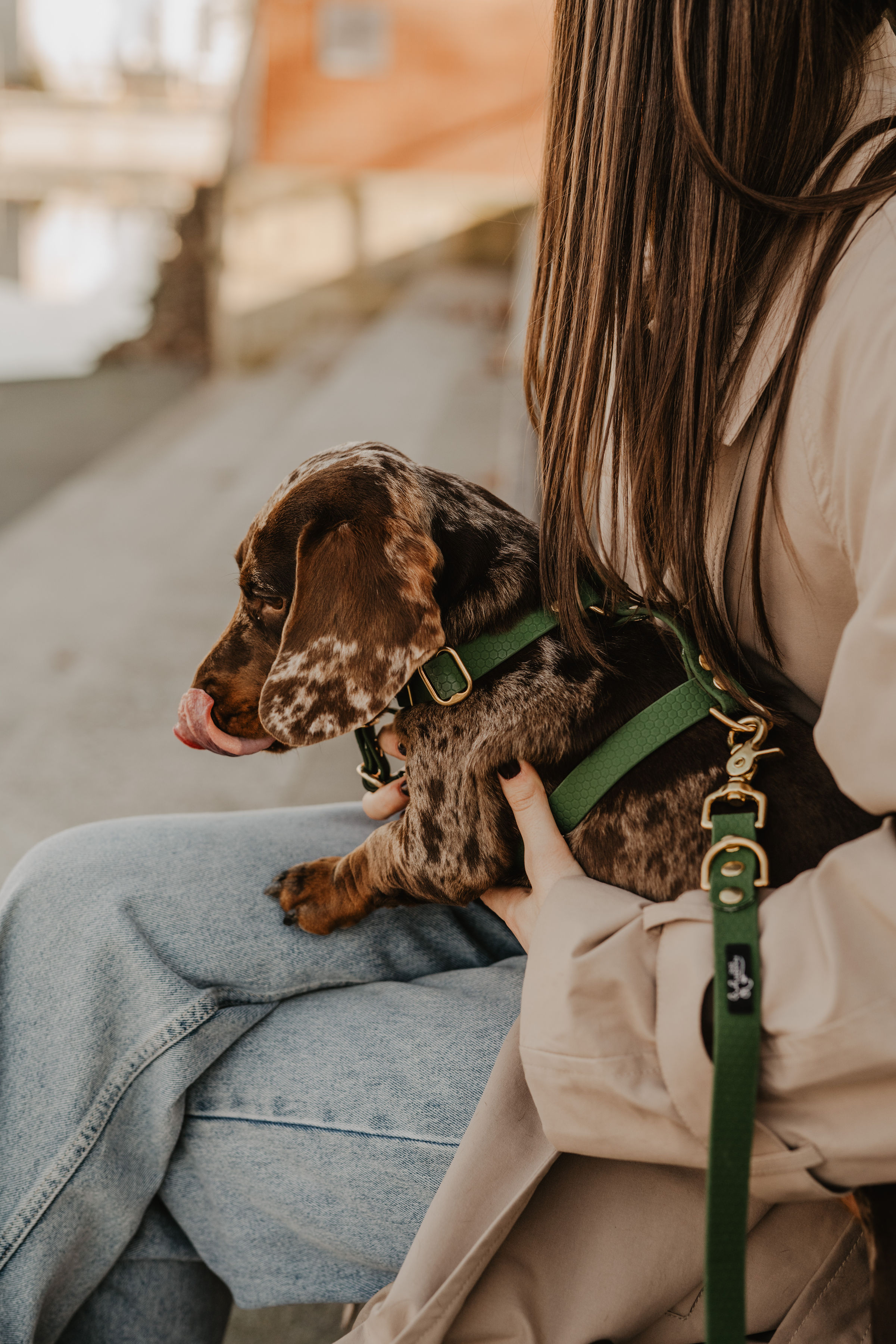 Smycze, Szelki i Obroże dla Psa Hexa – Kompletny Przewodnik